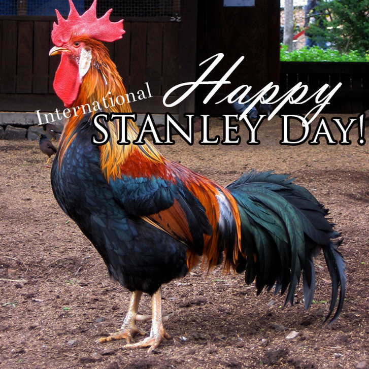 Happy Stanley Day